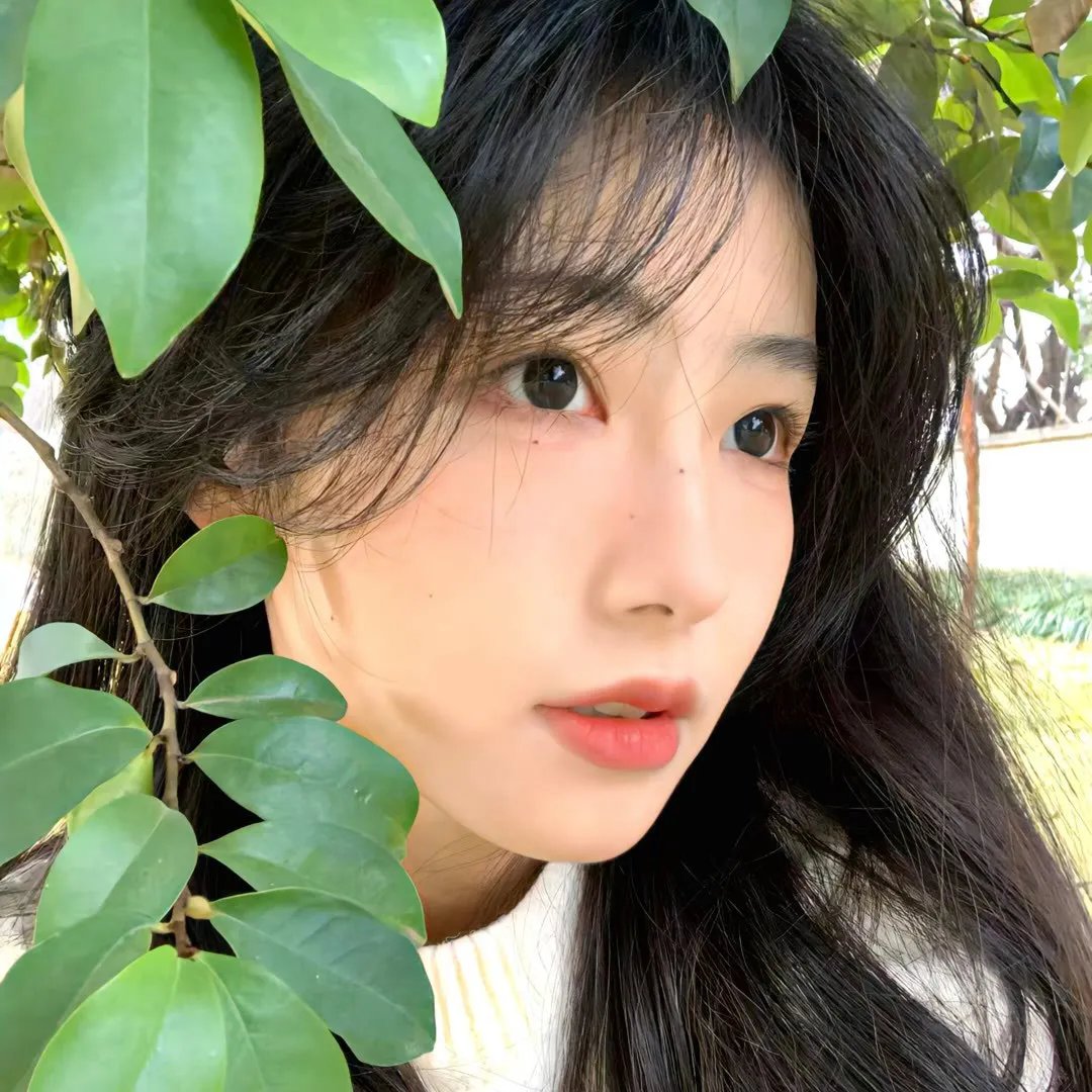 渺小而坚韧海报